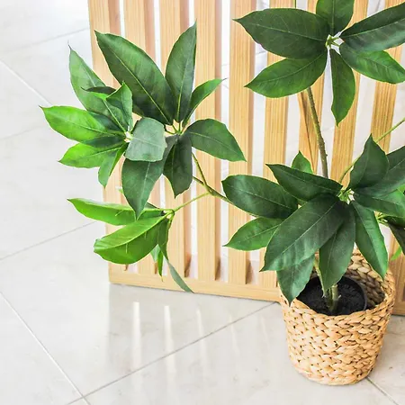 Apartment Lada 756 Durres