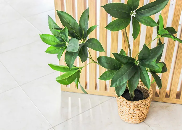 公寓 Lada 756 Durrës